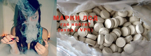 ПСИЛОЦИБИНОВЫЕ ГРИБЫ Ельня