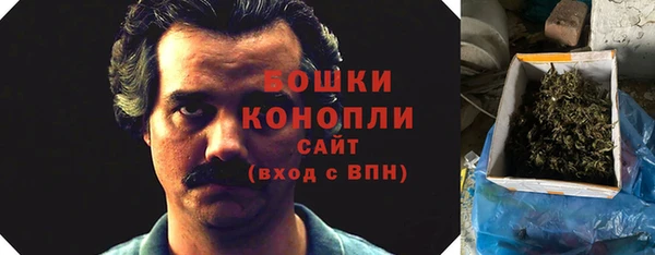 ПСИЛОЦИБИНОВЫЕ ГРИБЫ Ельня