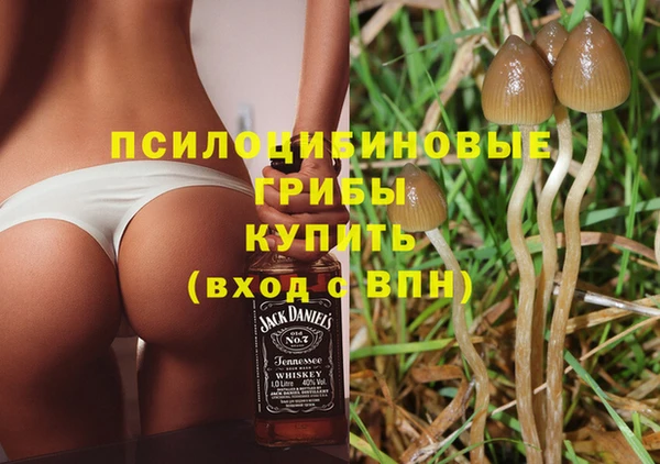 гашишное масло Елабуга