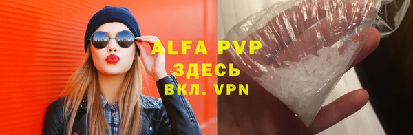 ПСИЛОЦИБИНОВЫЕ ГРИБЫ Ельня