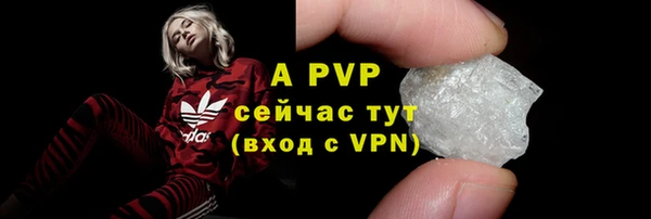 СК Ладушкин