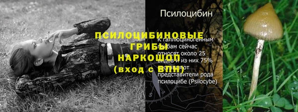 a pvp Елизово