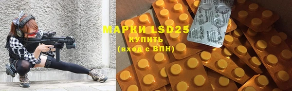 ПСИЛОЦИБИНОВЫЕ ГРИБЫ Ельня