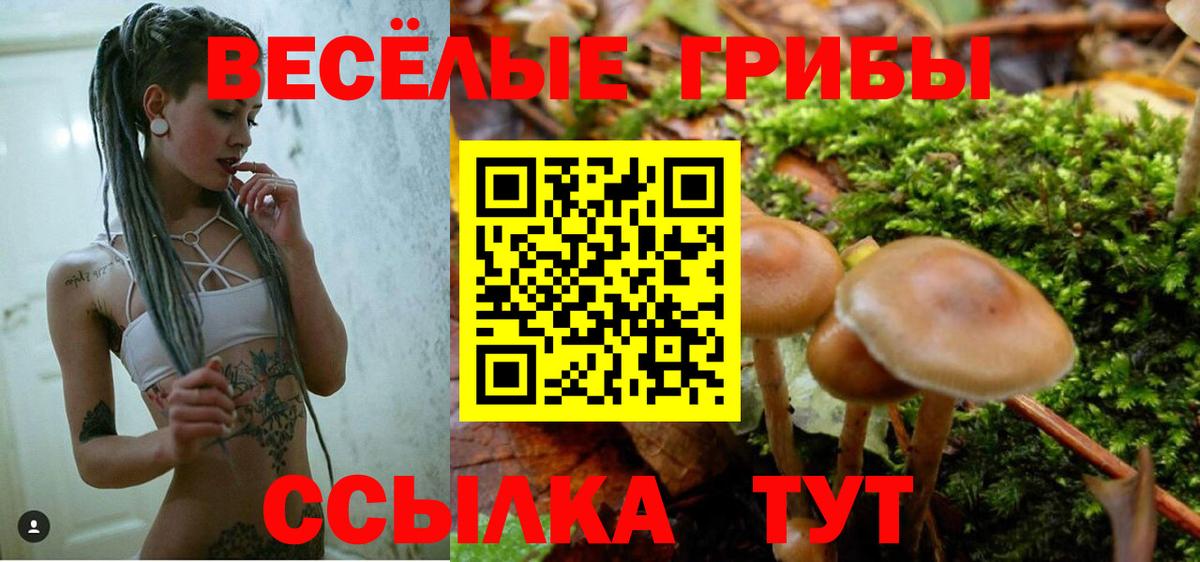 Псилоцибиновые грибы ЛСД  Сосновоборск 