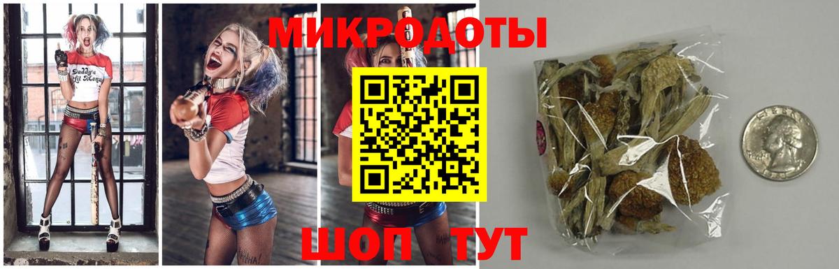 Галлюциногенные грибы Psilocybine cubensis Сосновоборск