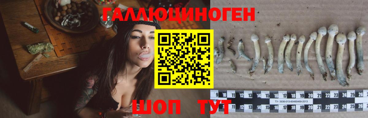 Псилоцибиновые грибы ЛСД  Вход с VPN  Псилоцибиновые грибы ЛСД  Сосновоборск 